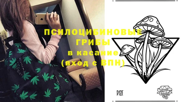 гидра Ростов