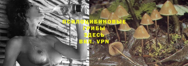 амфетамин Белокуриха